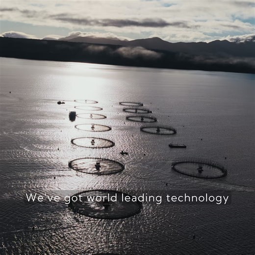 “Huon supports me and my family. We’ve got world leading technology to grow the fish. ” Benny, Salmon Farmer. | Huon