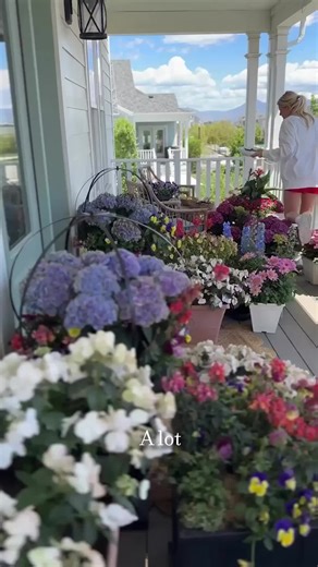 Cottage garden favorites: Florist Hydrangeas - I grow these as annuals in the pots by my front door. I love the way their colors change, and I do not deadhead these. I let them fade from white pink and purple to a beautiful shade of green in fall. I personally only plant these in bright shade. Snapdragons - they should start being out in Utah Garden centers pretty soon I hope. They are one of my favorites because they can handle a light frost and will grow from April until November for me and th