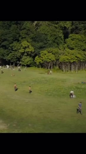 Capitulo 1 •CORREDOR• #mazerunner #newt #gally #minho #thomas