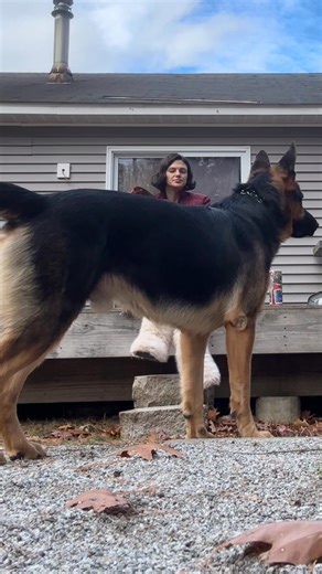 1.6K views · 19 reactions | Had to repost did didn’t realize I had a...