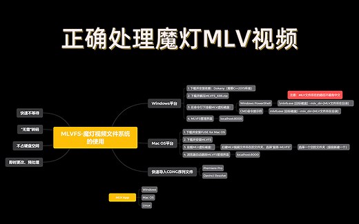 魔灯(Magic Lantern )拍摄的MLV视频的正确打开方式，绝对方便、快速、易操作。