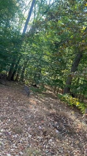 Nery Garcia on Reels | Facebook