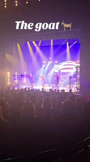 Goat 🐐 #tinaturner #song #singer #concert