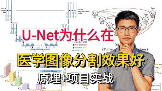 强推！Unet网络为什么在医学图像分割领域表现的好？手把手带你基于U-Net模型的医学细胞分割实战！原理入门 项目实战，附完整数据集！AI、计算机视觉、医学生、