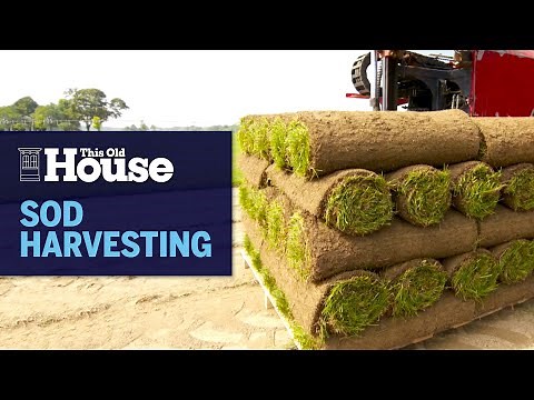 How Sod Is Harvested | This Old House