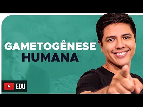 GAMETOGÊNESE - Espermatogênese e Ovocitogênese -Prof. Kennedy Ramos
