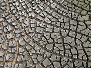 Picture of the Day: Desiccation Cracks