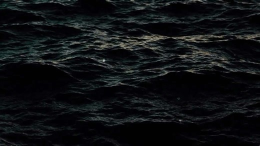 The True Story Behind Open Water