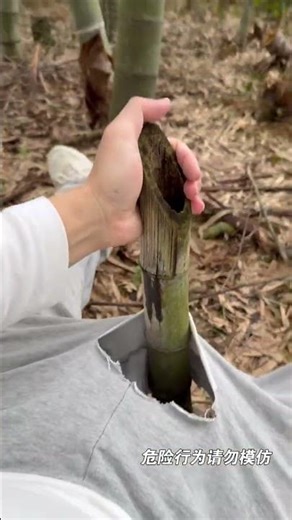 I slipped and fell down while climbing the bamboo. I almost saw that I was so cute#Do