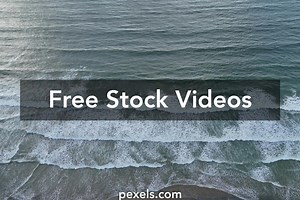 Water Ecosystem Videos, Download The BEST Free 4k Stock Video Footage & Water Ecosystem HD Video Clips