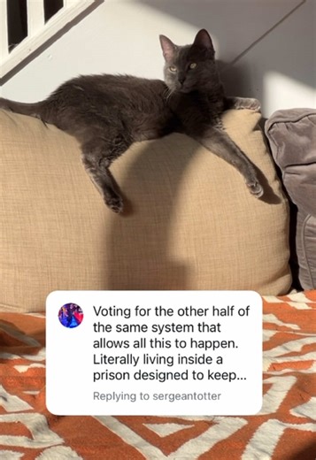 Replying to a comment with a video because nuance matters. We are in a two-party system whether we like it or not. If we want to change that system, we have to use the tools that exist right now. You don’t build renewable energy without first using fossil fuel infrastructure. You don’t dismantle a system by pretending you’re not inside it. This is about realism, not surrender. If you want real change, you have to understand the terrain you’re standing on. #PoliticalTok #RealTalkPolitics #Systemi