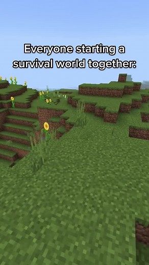 Funny Gaming Moments with Friends in Minecraft