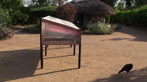 34K views · 865 reactions | Solar drying of chillies Dry your food...