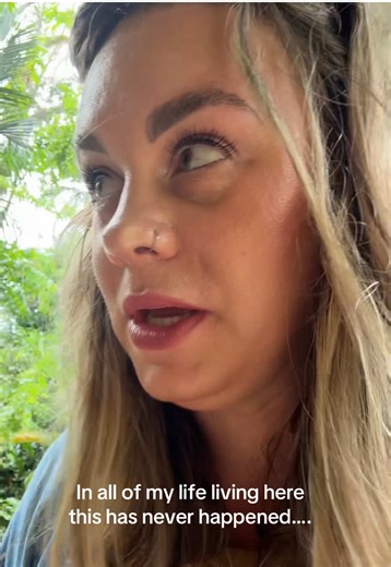 Sloth Encounter in Costa Rica