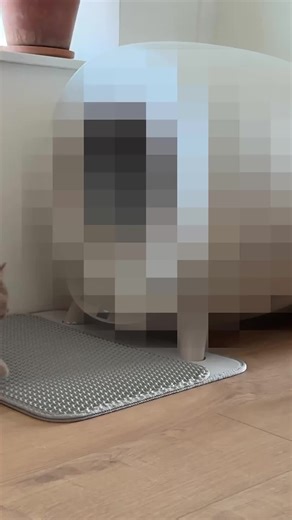 De Bright Awards 2025: Beste Smart Home Gadgets