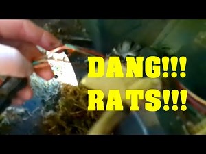 Fixing The PTO Switch on My Mahindra EMAX Tractor! #homesteading #mahindra #tractor #diy #tools