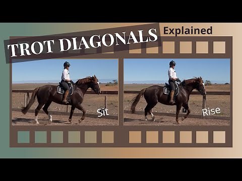 Rising Trot - Posting Trot - How To Find Your Diagonals