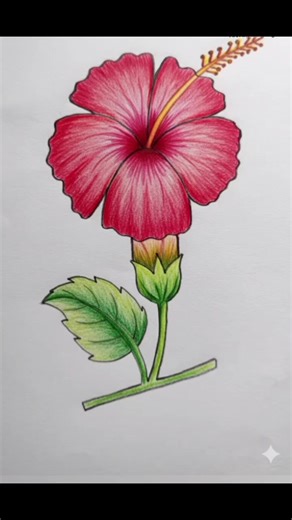 How to Draw a Flower Step by Step