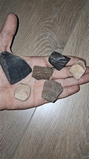 🐢These ANCIENT Turtle Shell fragments are Millions of years old!🦴 #fossil #ancient #turtle