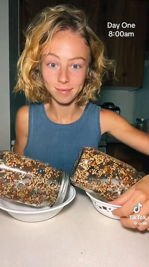 Growing sprouts is easy and fun! AND they are nutritional. 🌱 This video is perfect for any sprouting beginner. Grow your sprouts today! ❤️ Follow Orim on Tik Tok to learn more about sprouts and healthy eating. ❤️ #repost #trueleafmarket #gardening #plants #sprouts #healthy #plantbased #tiktok | True Leaf Market