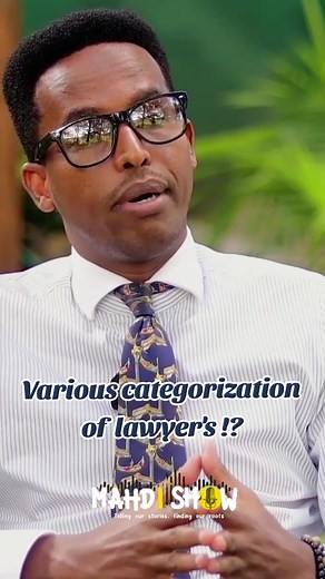 Understanding Various Types of Lawyers Explained
