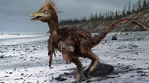 From Myth to Reality: Meet the 100 Rarest Animals You’ve Never Seen Before