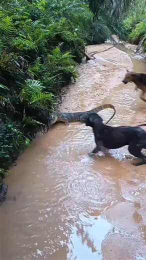 Instagram video by Wasim Kabir • Sep 2, 2025 at 10:41 AM