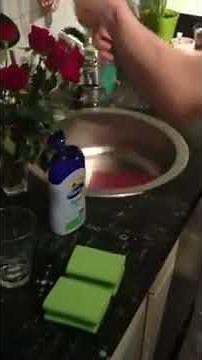 Taschenmuschi selbst basteln