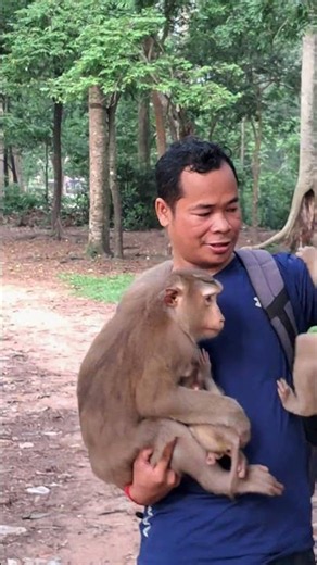 very happy flora and her both son ! father visit them #shorts #babymonkey #monkey