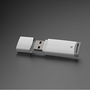 [Hot Item] Corporative Gift Custom Metal USB Stick with Logo Swivel USB Flash Drive