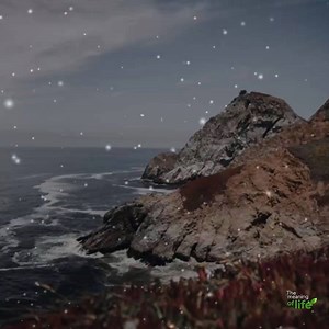 32K views · 1K reactions | #TheMeaningOfLife | The meaning of life | Facebook