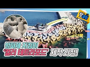 돌기와 알록달록 색깔을 더한 방파제 지킴이 테트라포드 [#핫클립] / YTN 사이언스