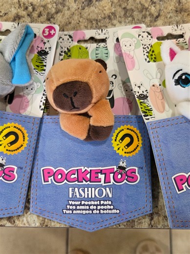 POCKETS… but make them adorable 🥹✨ Meet the Pocket Pet — the cutest little fashion friend that clips right into your pocket. Thanks to hidden magnets, they stay perfectly in place while you go about your day. Functional, playful, and guaranteed to spark smiles wherever you go. Who says pockets can’t have personality? 💕 #PocketPet #FashionAccessories #giftforkids #girlgift #stuffie