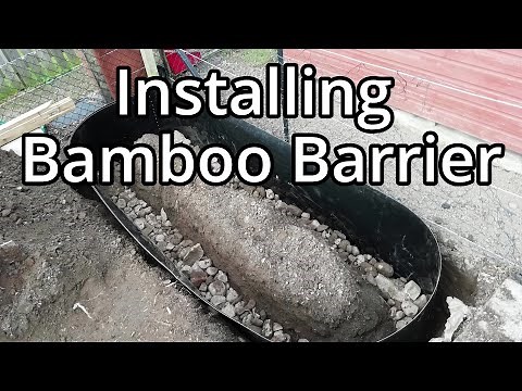 Building And Planting Up Two Bamboo Beds With Rhizome Barrier