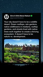 45K views · 1.6K reactions | It doesn't have to be nature vs. development. | Give A Shift About Nature | Facebook