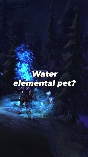 Blizzard cut the Mage Water Elemental in WoW Classic... #worldofwarcraft #warcraft