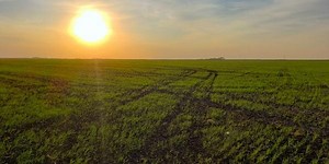 Taking steps to minimize compaction from the sprayer