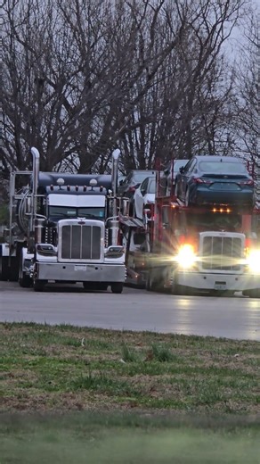 Pretty safe and secure area to rest #shorts