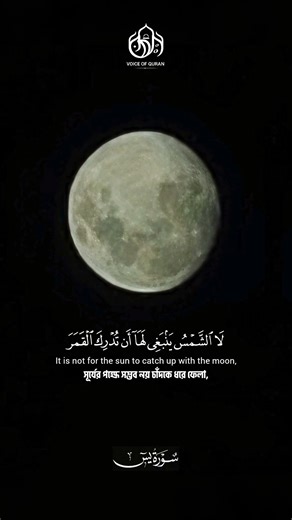 Surah Yaseen ayat 40. #quran #shorts #surahyaseen