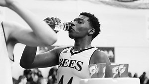 Killer Bees Trailer Original