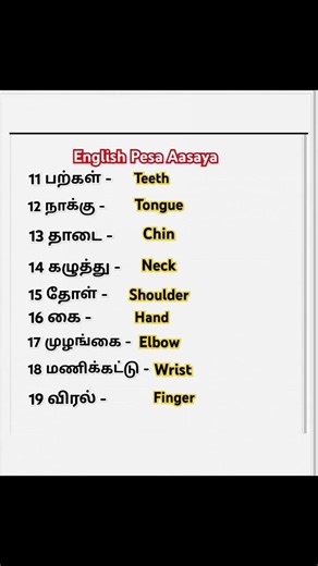 இனி நீங்களும் ஆங்கிலம் பேசலாம் 🙏👀#spokenenglish #dailysentences #spokenenglishthroughtamil #shorts