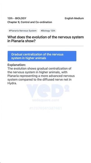 Evolution of Nervous System in Planaria Biology 12th