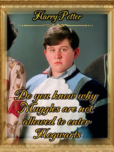 Muggle Restrictions at Hogwarts Explained