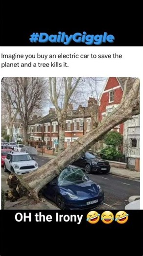 #EmptySpace #IntoTheVoid #DailyGiggle #car #electriccar #crash #accident #tree #lol #ffs #irony #wtf