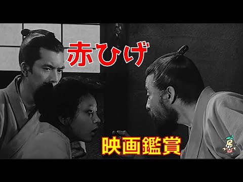 【ボクの映画鑑賞】赤ひげ/黒澤明/三船敏郎