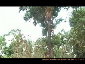 Towards the Igbo metaphysics by rev fr emmanuel edeh A must watch documentary full version available at nkanutv YouTube channel https://www.youtube.com/channel/UCJOZ05MSdxZBYGOcFe2J37Q | NKANU TV