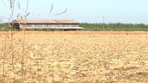 Farmers receive 0% allocation of Central Valley Project water, amid climate change concerns