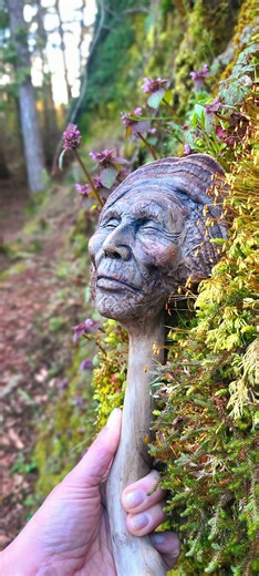 Mushroom Man, Driftwood & Tree Conk, Polypore Forest Elder by Debra Bernier, Shaping Spirit - Etsy Canada