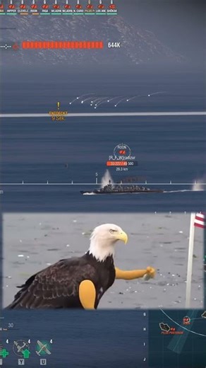 #usa #usarmy #america #eagle #meme #Kansas #wows