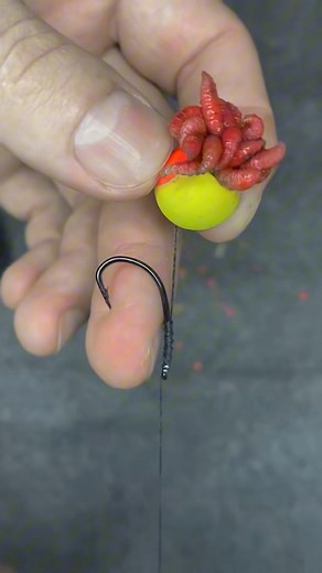 67K views · 144 reactions | #carpfishing #fishing #carpefishing | itopfishing | Facebook